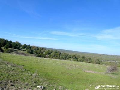 un bosque Jurásico - Sabinar y Cañón del río Caslilla; carrers girona museo atapuerca burgos berrea 